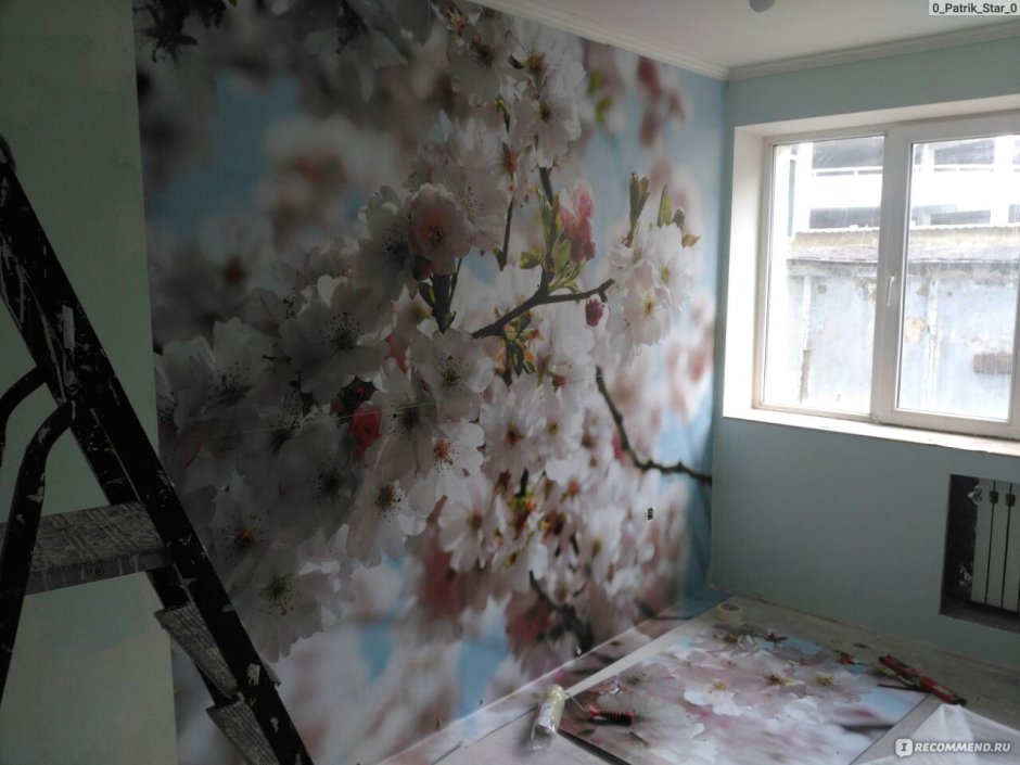 Обои Сакура Леруа Мерлен