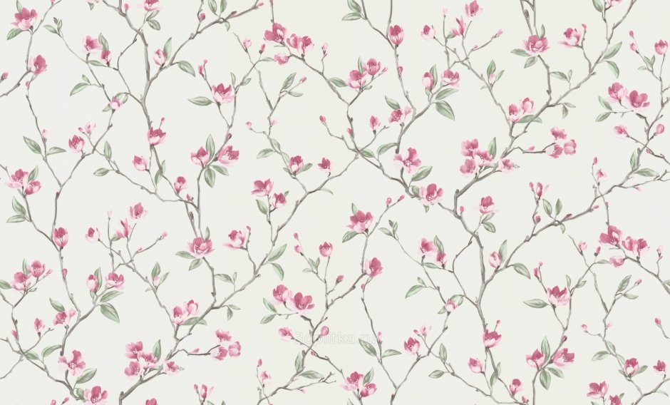 Обои флизелиновые MAXWALL Magnolia