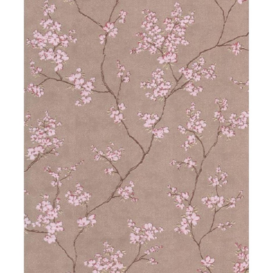 Гомельобои Сакура