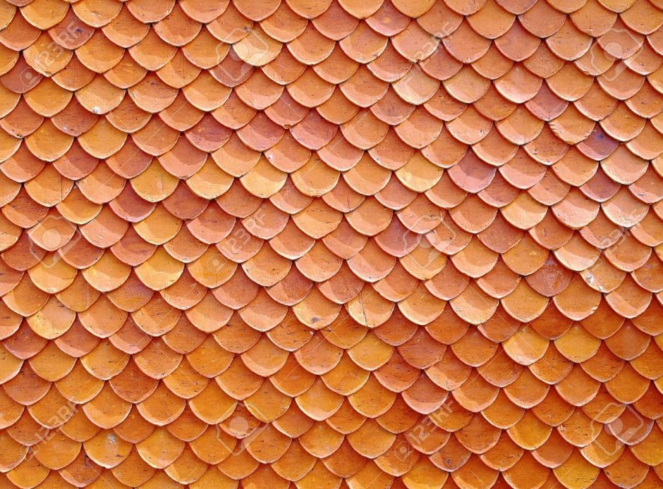 Черепичные чешуйчатые стены дома