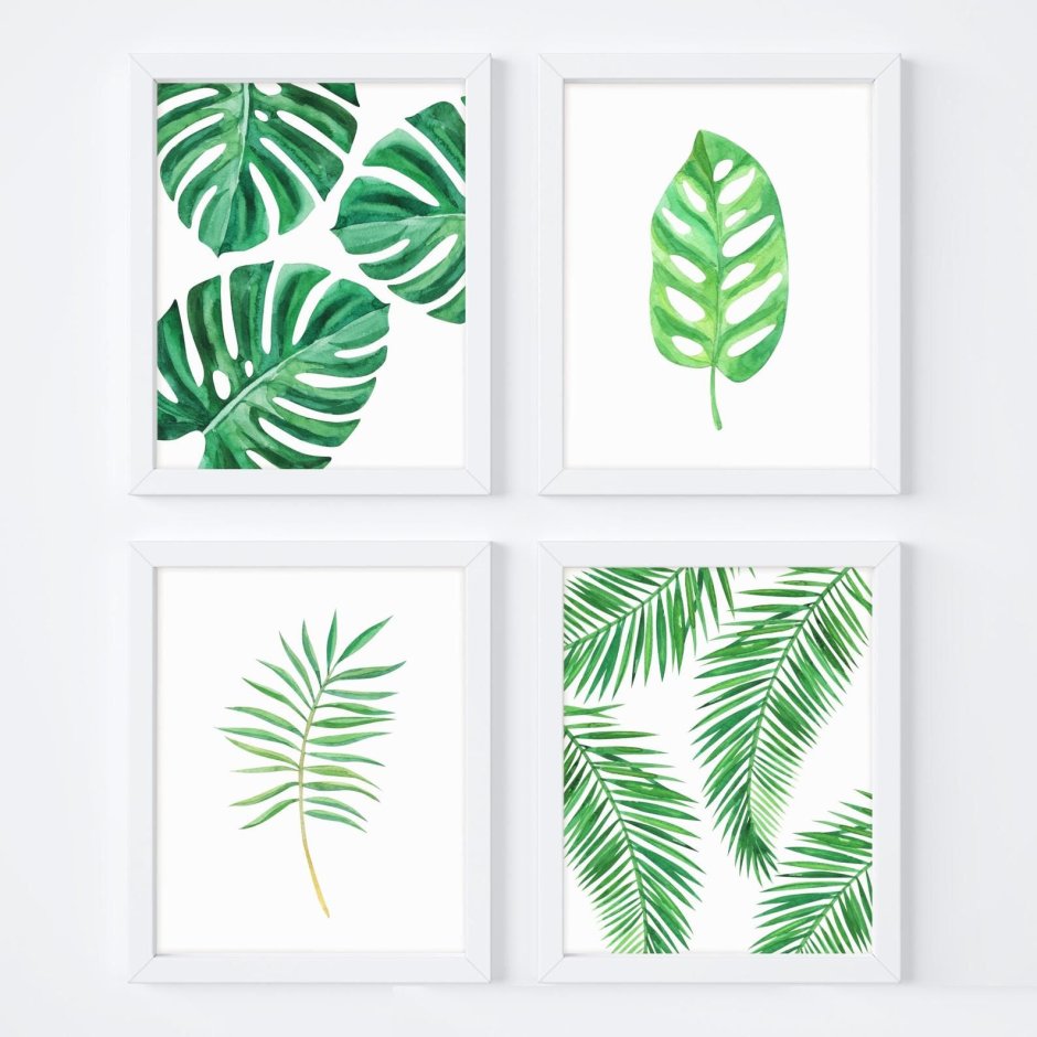 Листья монстеры рисунок на стене