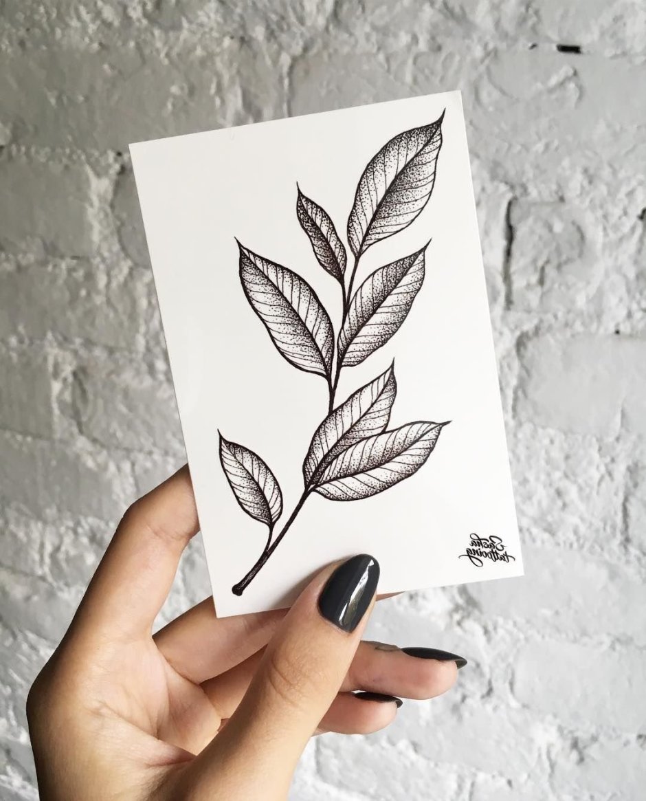 Тату листья эскизы