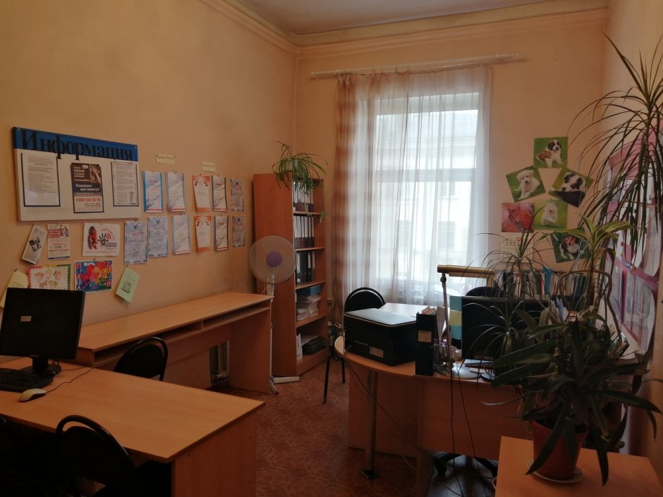 Кабинет психолога в колледже