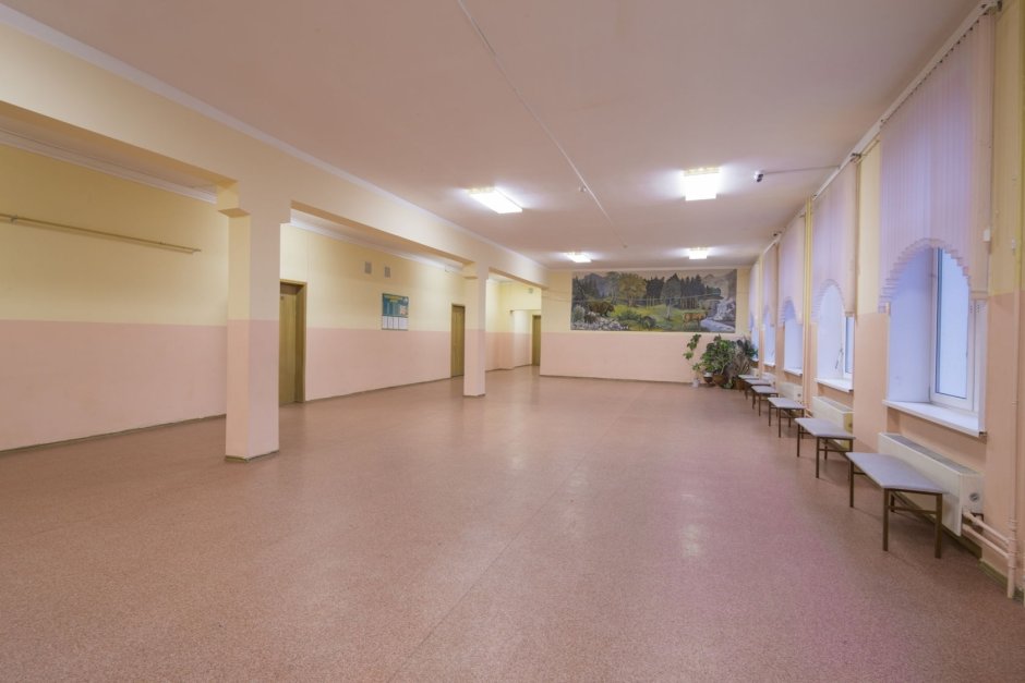 Рекреация в школе