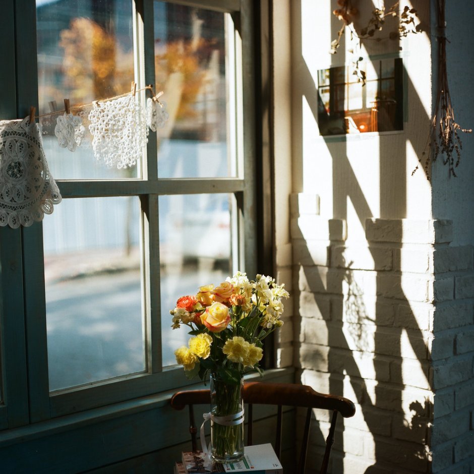 Вид из окна осень