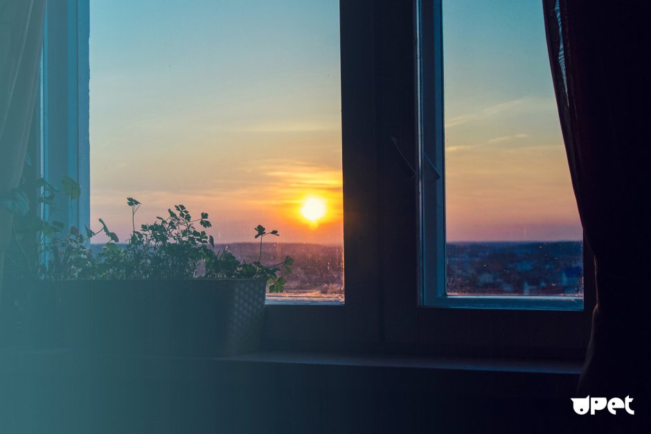 Солнце светит в окно