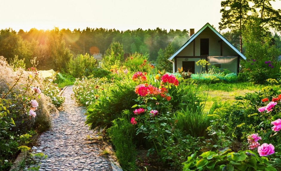 Ландшафт участка 6 соток