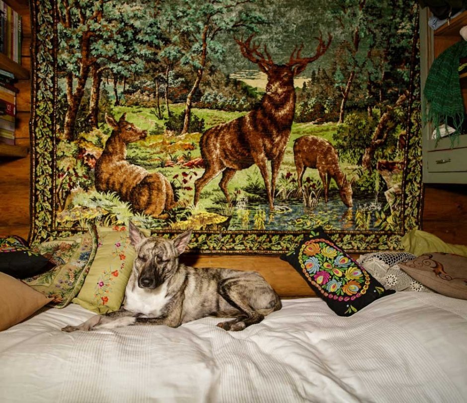 Ковер тройка и волки ГДР