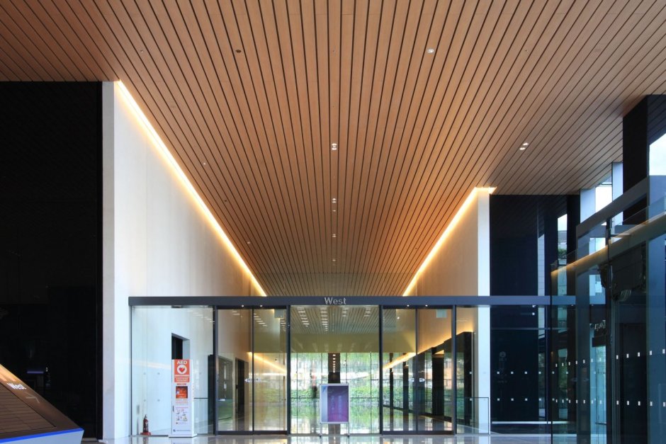 Потолок из дерева с подсветкой