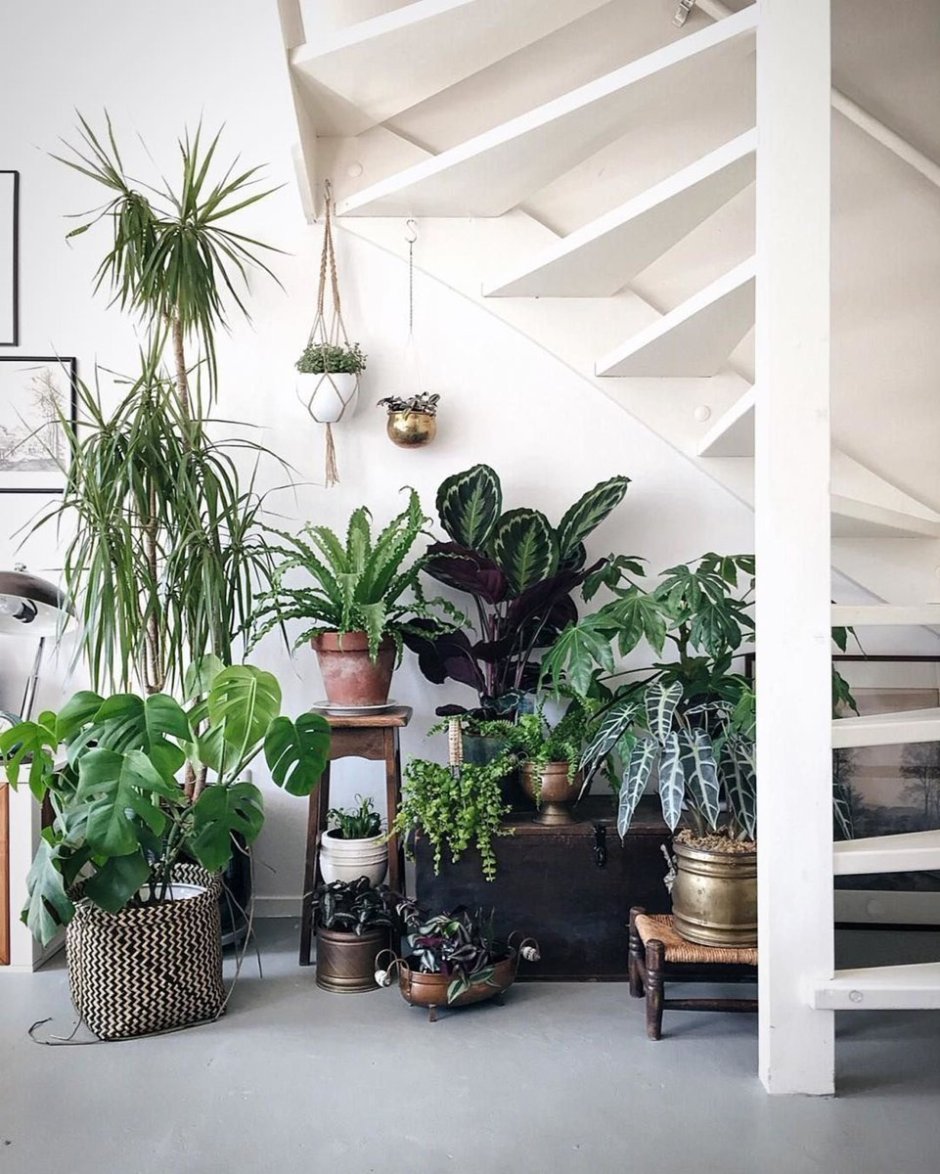 Необычные лестницы