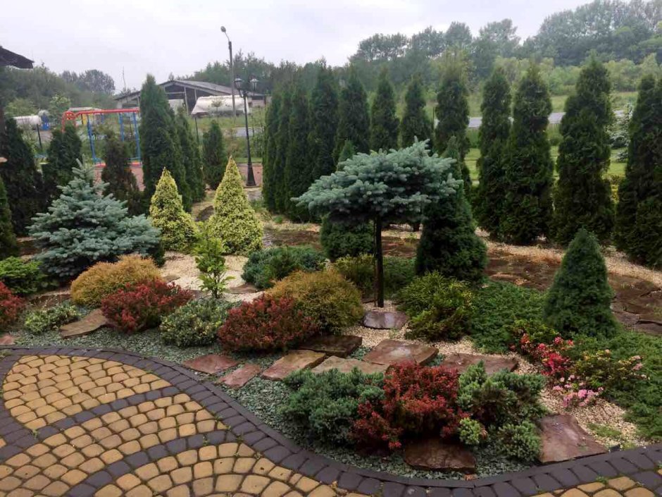 Рабатка из хвойников