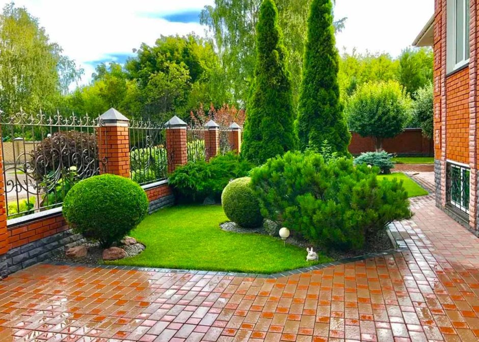 Туя Смарагд и Даника в ландшафте