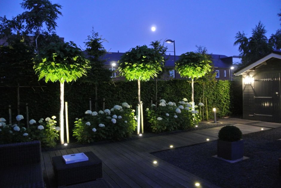 Освещение в саду