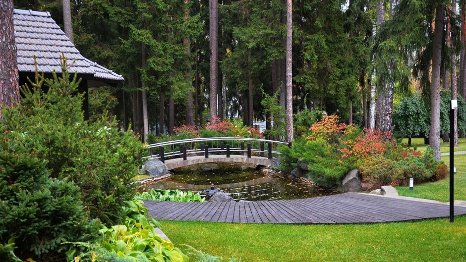 ЭКОЛАНДШАФТ Лесной участок