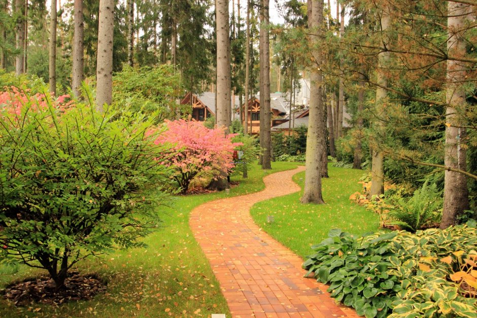 Лесопарковый ландшафт макроландшафт