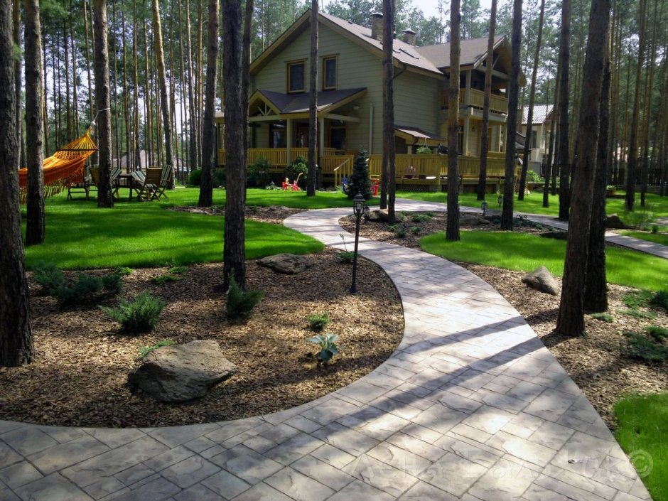 Ландшафт лесного соснового участка