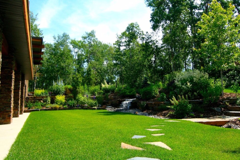 Газон и деревья на участке