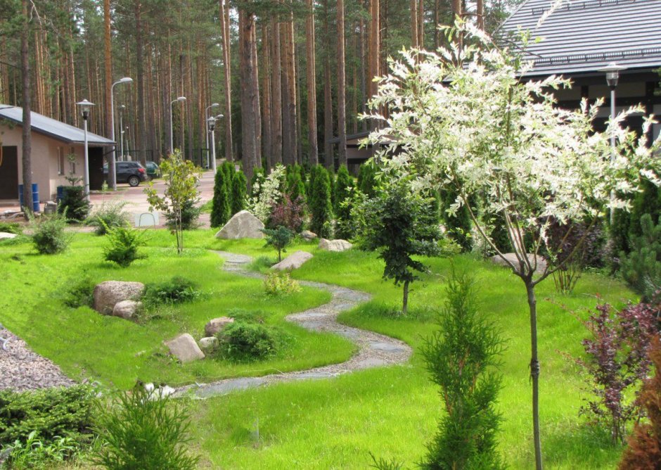 Ландшафт лесного участка