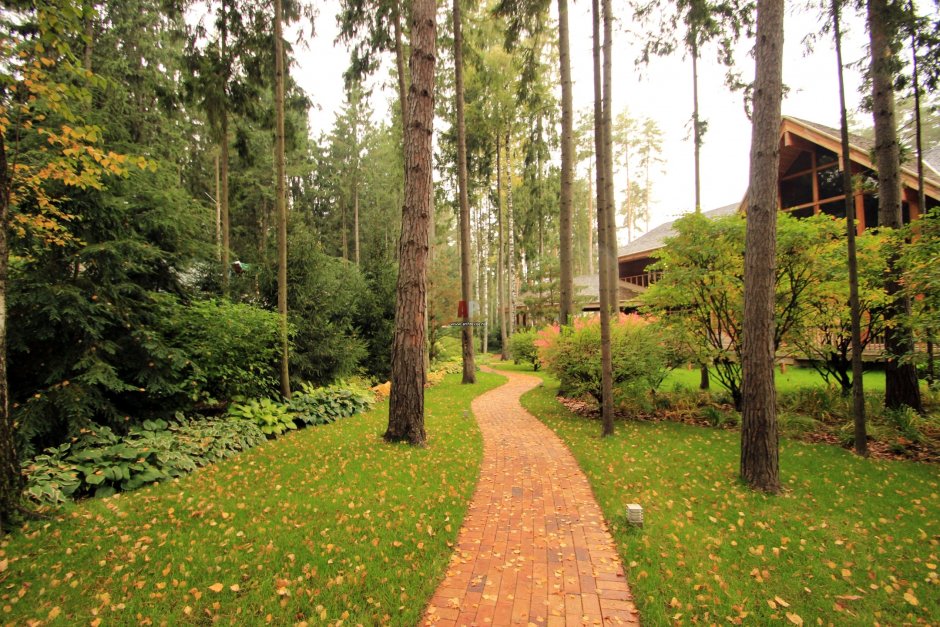 Участок в лесу