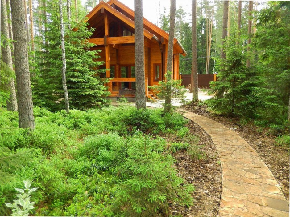 Сосновый Бор дом ельник