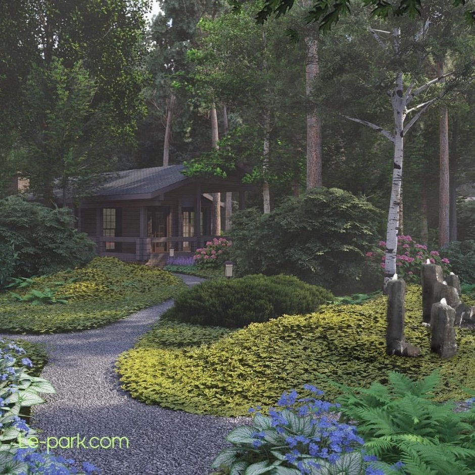 Ландшафт лесного участка с соснами Урал