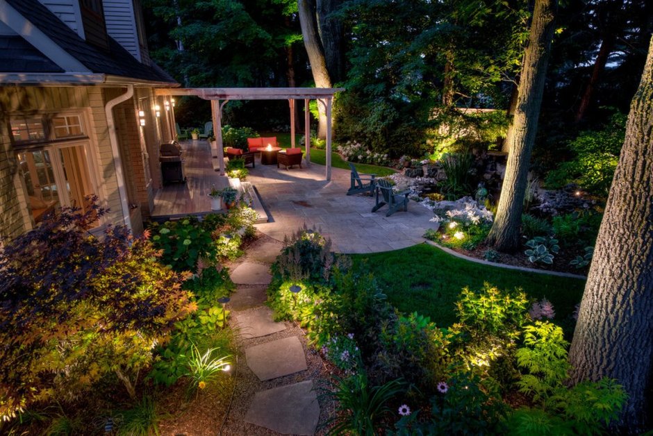 Ландшафт в лесу