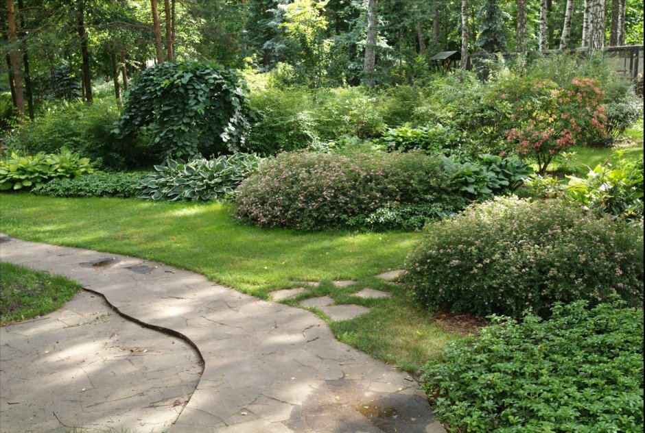 Владимир Колесник ландшафтный дизайнер