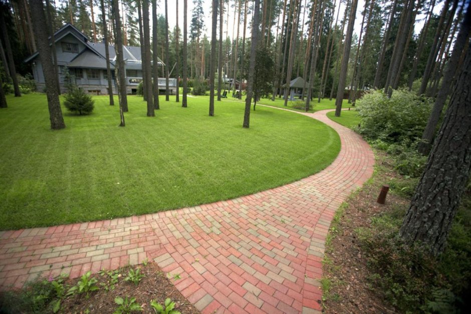 Дорожки на Лесном участке