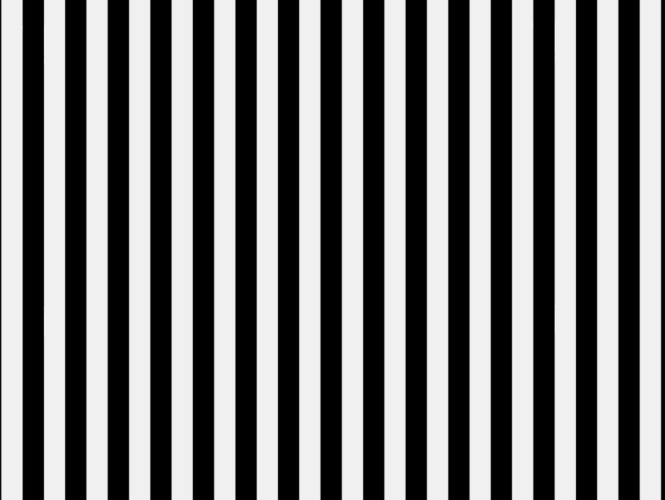 Фактура зебры