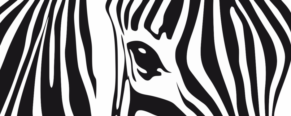 Энди Уорхол Зебра