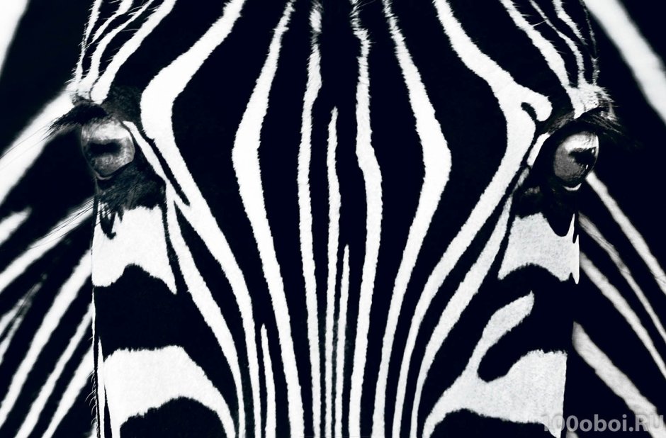 Полоски на стене