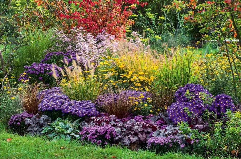 Степной миксбордер