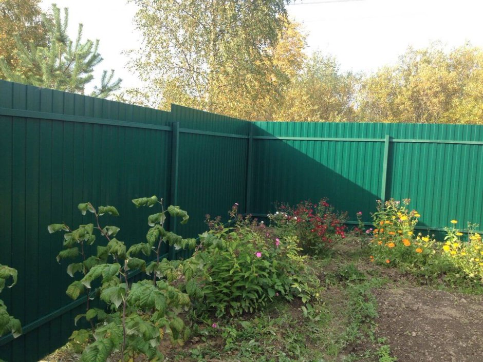 Лист зеленый с на забор