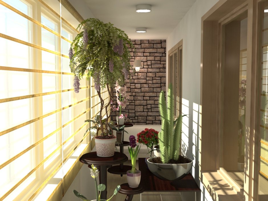 Зимний сад на лоджии