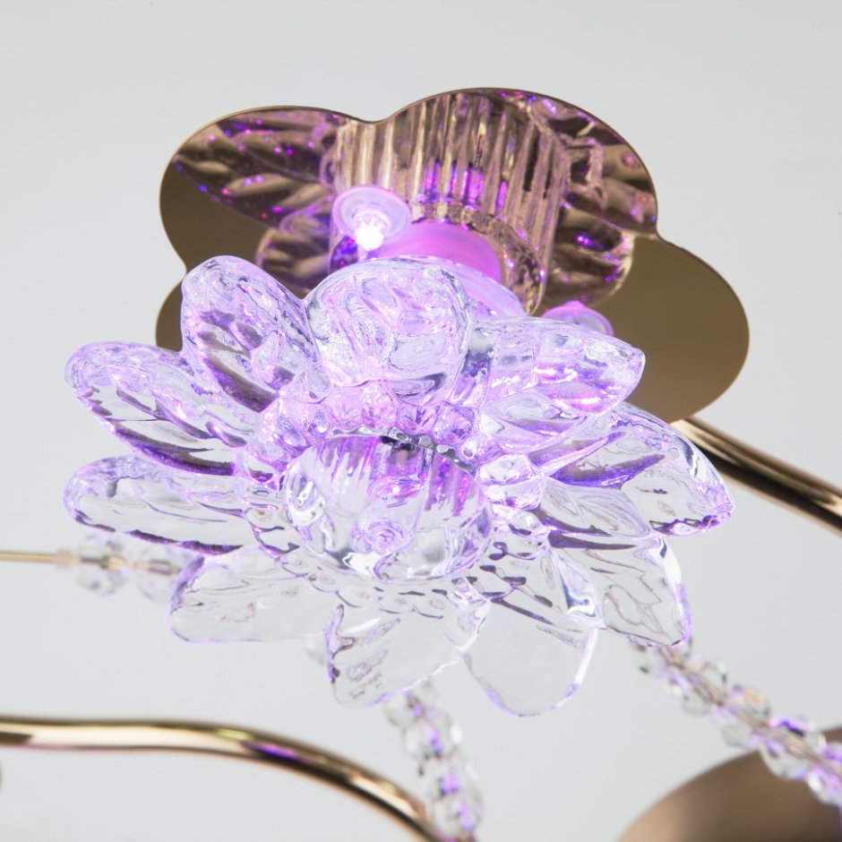 Люстра Евросвет 4831/9