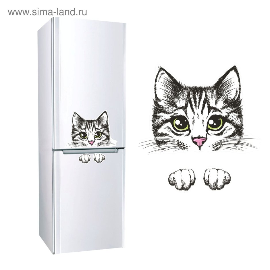 Виниловая пленка на холодильник