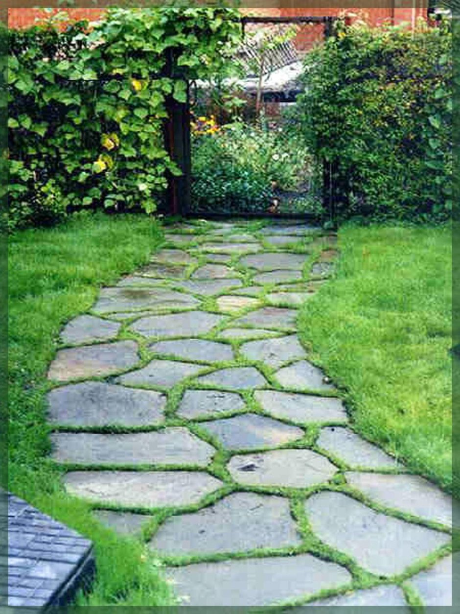 Плитняк дорожки ландшафт