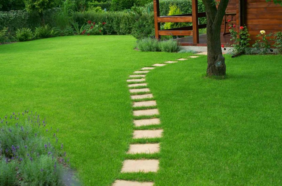 Садовые дорожки на даче