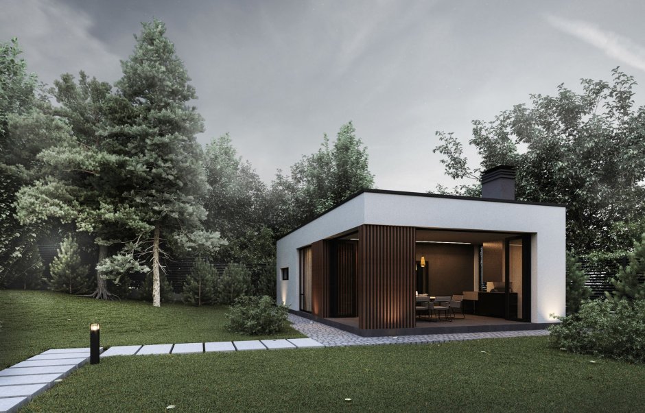 Тини Хаус с плоской крышей