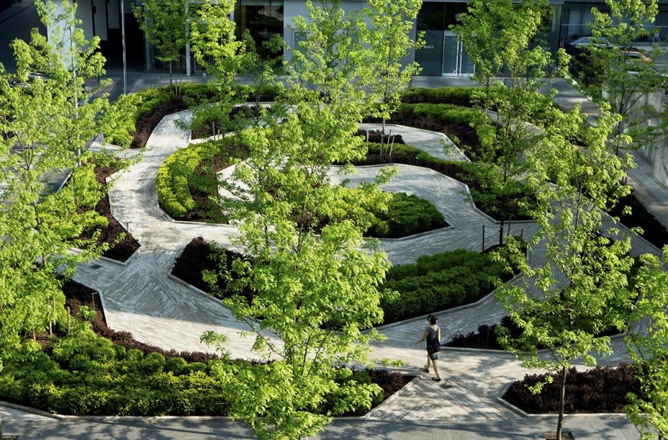 Дендрологический план парка