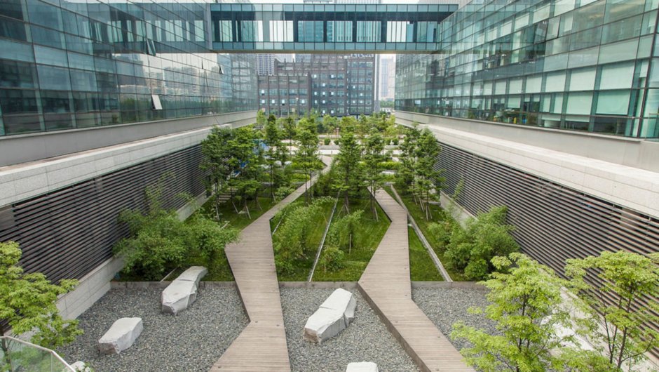 Геопластика в ландшафтном дизайне на плане