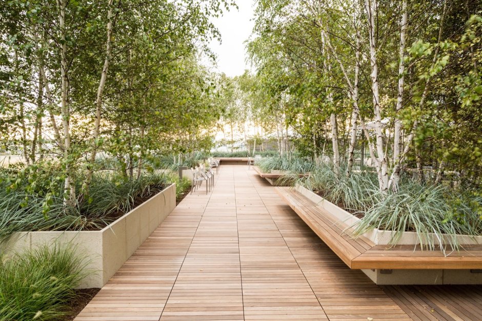 Разработка ландшафтного проекта