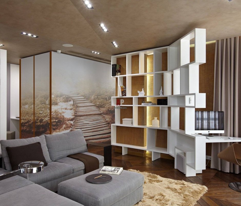 Книжные стеллажи в гостиной с диваном