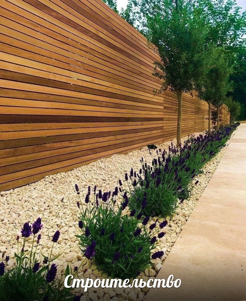 Клумба вдоль забора