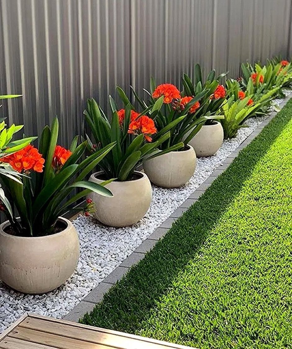 Палисадник вдоль забора