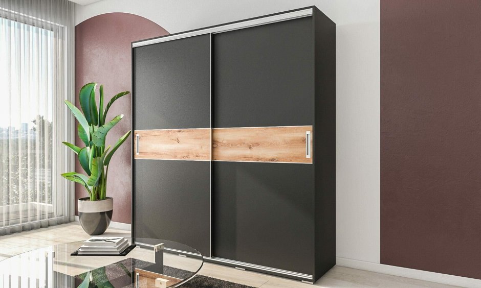 Шкаф-купе аристо Нова 4