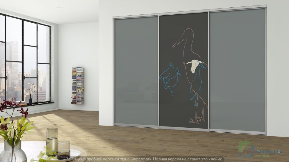 Шкаф купе Raumplus