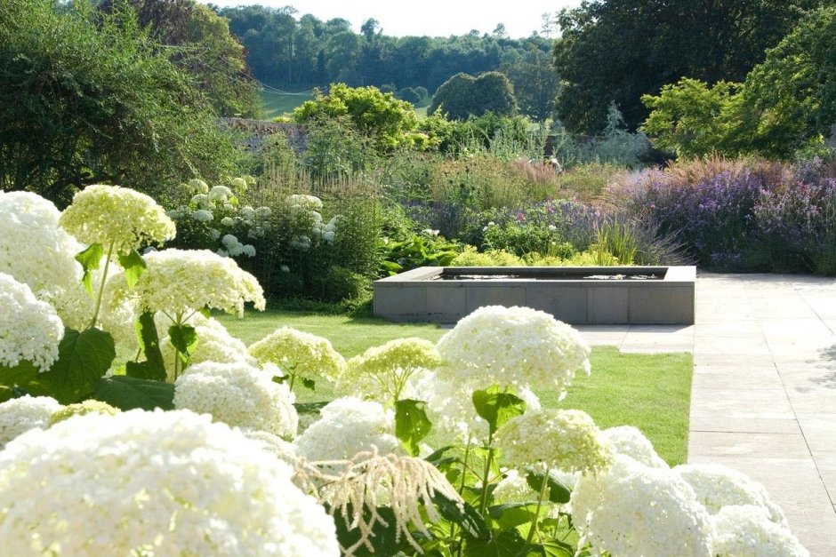 Дэн Пирсон ландшафтный дизайнер