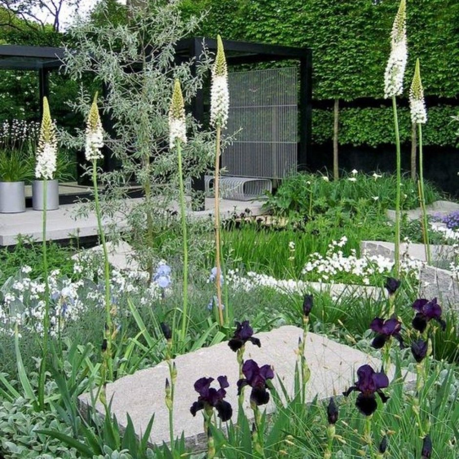 Chelsea Flower show сад Модерн