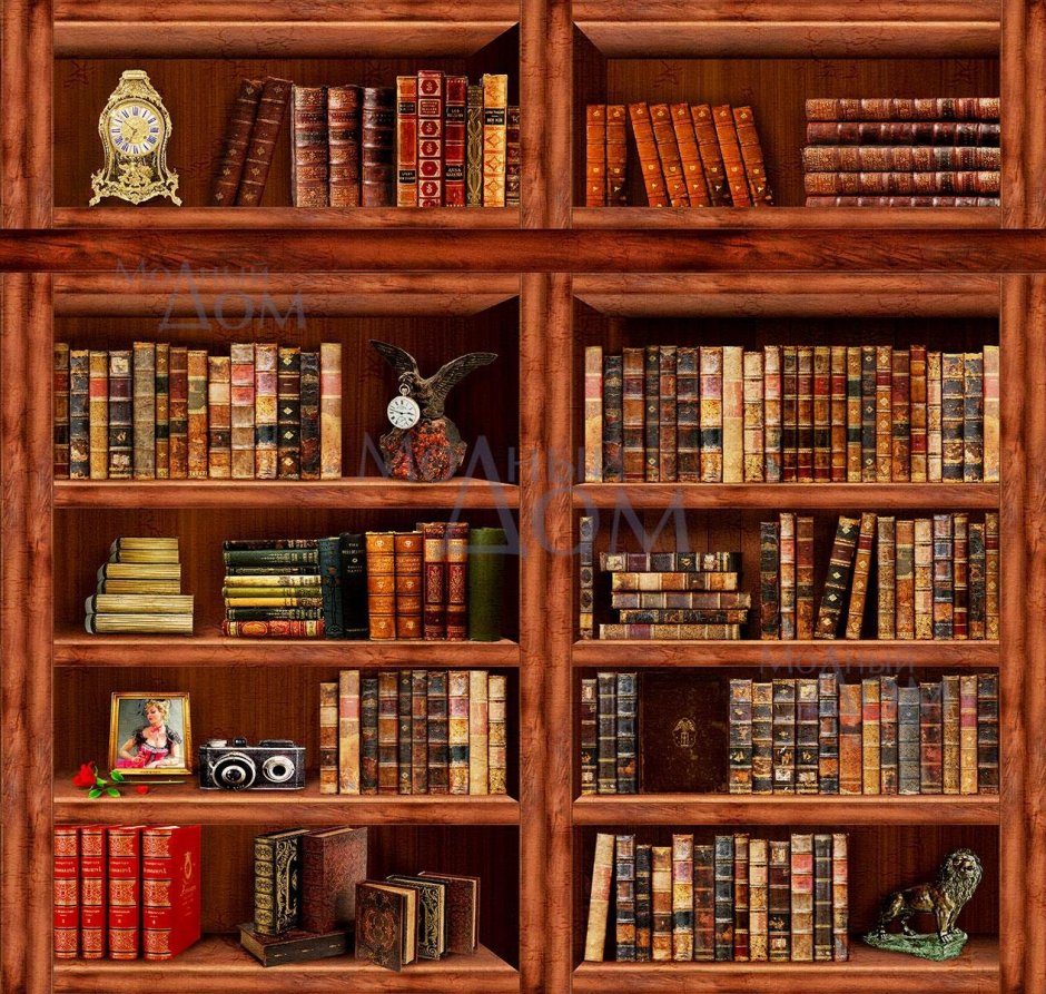 Красивые книжные полки